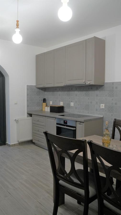 Pensiunea Maramures Guesthouse Viseu de Jos Eksteriør bilde