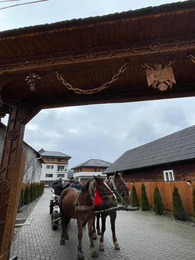 Pensiunea Maramures Guesthouse Viseu de Jos Eksteriør bilde
